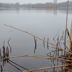 2018-04-14 Copenhagen/Utterslev Mose/DSC_0038.JPG